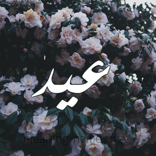 شكل 11 صوره ورود فل وياسمين للإسم بخط رقعة صورة اسم عيد Eid