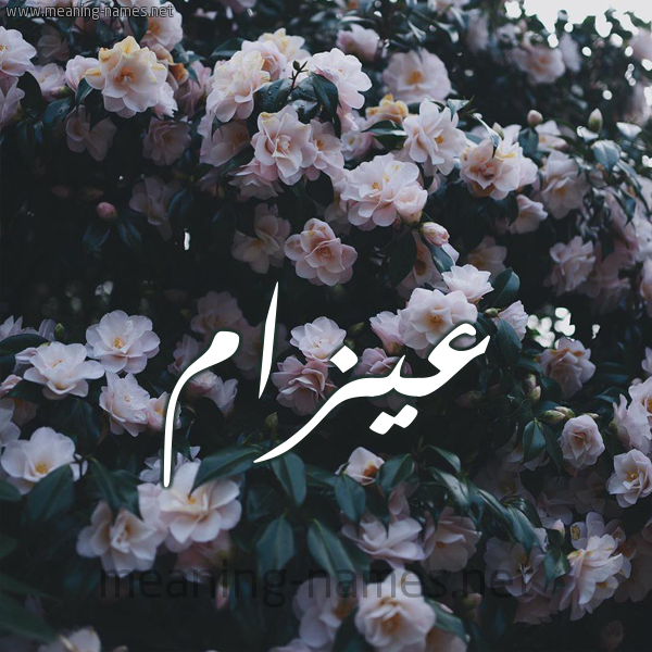 شكل 11 صوره ورود فل وياسمين للإسم بخط رقعة صورة اسم عيزام Azam