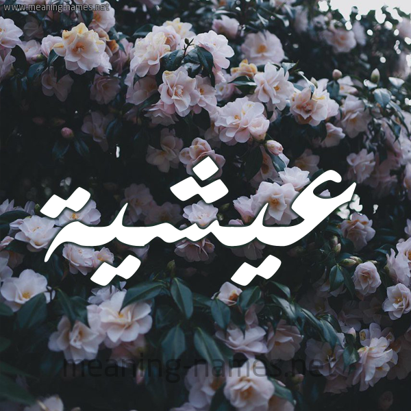 شكل 11 صوره ورود فل وياسمين للإسم بخط رقعة صورة اسم عيشية Aisha