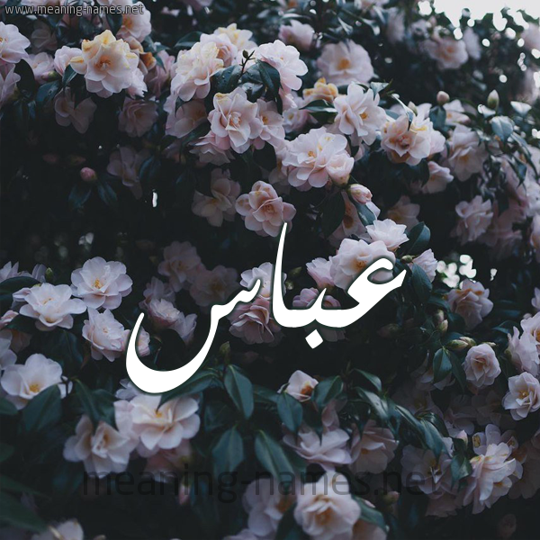 شكل 11 صوره ورود فل وياسمين للإسم بخط رقعة صورة اسم عَبَّاس AABAAS شكل 11 صوره ورود فل وياسمين للإسم بخط رقعة صورة اسم عَبَّاس AABAAS