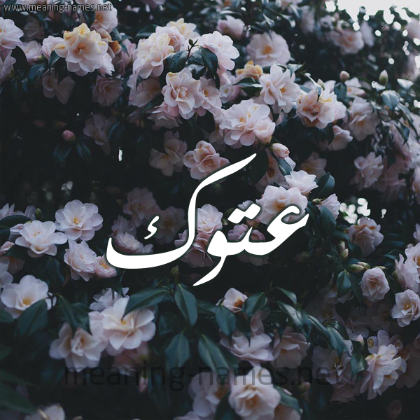 شكل 11 صوره ورود فل وياسمين للإسم بخط رقعة صورة اسم عَتُّوك AATOOK شكل 11 صوره ورود فل وياسمين للإسم بخط رقعة صورة اسم عَتُّوك AATOOK