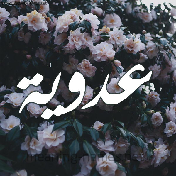 شكل 11 صوره ورود فل وياسمين للإسم بخط رقعة صورة اسم عَدَوِيَّة AADAOEIAH شكل 11 صوره ورود فل وياسمين للإسم بخط رقعة صورة اسم عَدَوِيَّة AADAOEIAH