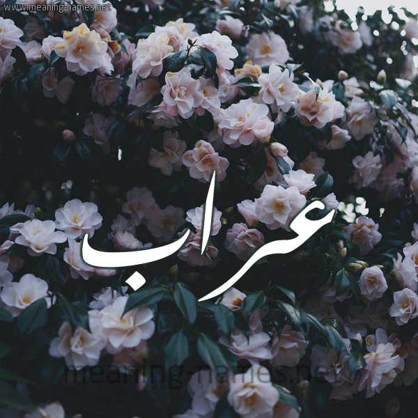 شكل 11 صوره ورود فل وياسمين للإسم بخط رقعة صورة اسم عَرَّاب AARAAB شكل 11 صوره ورود فل وياسمين للإسم بخط رقعة صورة اسم عَرَّاب AARAAB