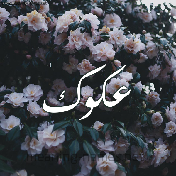 شكل 11 صوره ورود فل وياسمين للإسم بخط رقعة صورة اسم عَكَوَّك AAKAOAK شكل 11 صوره ورود فل وياسمين للإسم بخط رقعة صورة اسم عَكَوَّك AAKAOAK