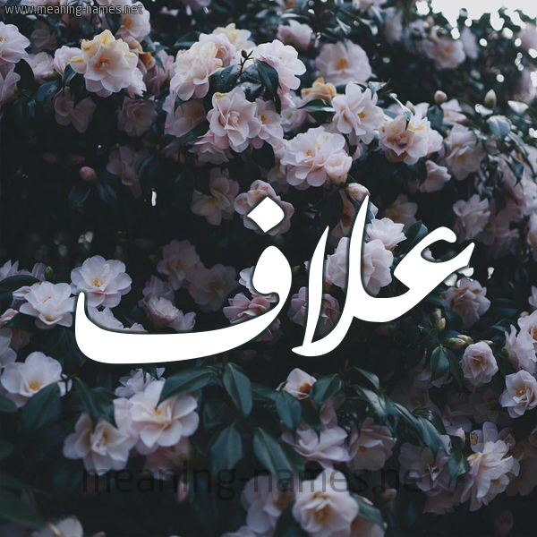 شكل 11 صوره ورود فل وياسمين للإسم بخط رقعة صورة اسم عَلاَّف AALAAF شكل 11 صوره ورود فل وياسمين للإسم بخط رقعة صورة اسم عَلاَّف AALAAF