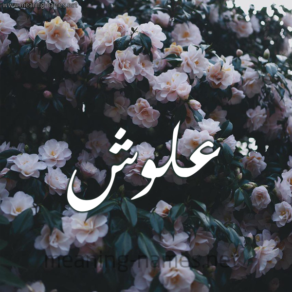 شكل 11 صوره ورود فل وياسمين للإسم بخط رقعة صورة اسم عَلُّوش AALOOSH شكل 11 صوره ورود فل وياسمين للإسم بخط رقعة صورة اسم عَلُّوش AALOOSH