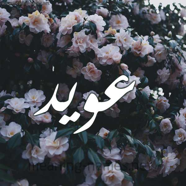 شكل 11 صوره ورود فل وياسمين للإسم بخط رقعة صورة اسم عُوَيِّد AOOAIED شكل 11 صوره ورود فل وياسمين للإسم بخط رقعة صورة اسم عُوَيِّد AOOAIED