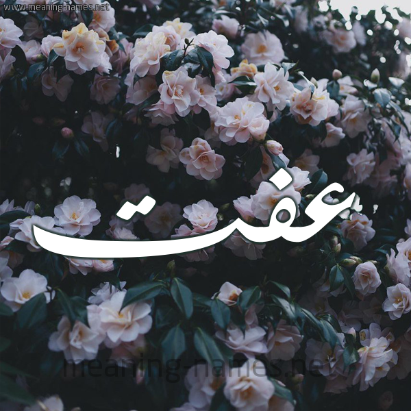 شكل 11 صوره ورود فل وياسمين للإسم بخط رقعة صورة اسم عِفَّتْ AEFAT شكل 11 صوره ورود فل وياسمين للإسم بخط رقعة صورة اسم عِفَّتْ AEFAT