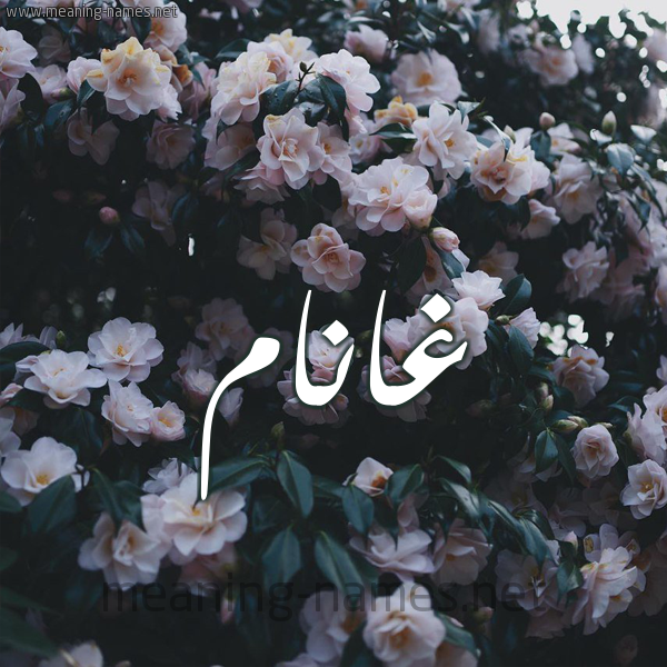 صورة اسم غانَّام Ghannam شكل 11 صوره ورود فل وياسمين للإسم بخط رقعة صورة اسم غانَّام Ghannam شكل 11 صوره ورود فل وياسمين للإسم بخط رقعة