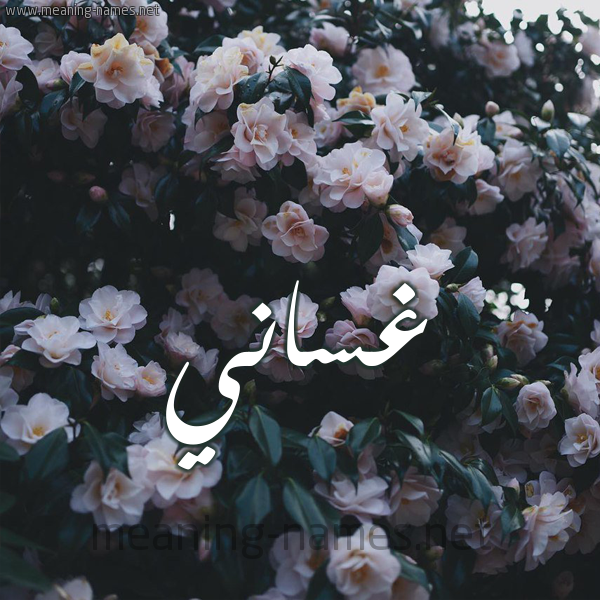شكل 11 صوره ورود فل وياسمين للإسم بخط رقعة صورة اسم غَسَّاني GHASAANI شكل 11 صوره ورود فل وياسمين للإسم بخط رقعة صورة اسم غَسَّاني GHASAANI