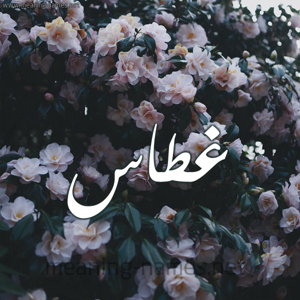 شكل 11 صوره ورود فل وياسمين للإسم بخط رقعة صورة اسم غَطَّاس GHATAAS شكل 11 صوره ورود فل وياسمين للإسم بخط رقعة صورة اسم غَطَّاس GHATAAS