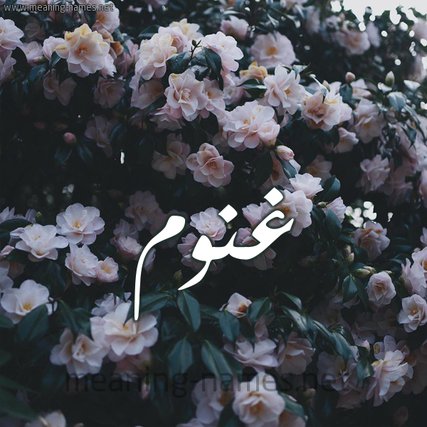 شكل 11 صوره ورود فل وياسمين للإسم بخط رقعة صورة اسم غَنُّوم GHANOOM شكل 11 صوره ورود فل وياسمين للإسم بخط رقعة صورة اسم غَنُّوم GHANOOM