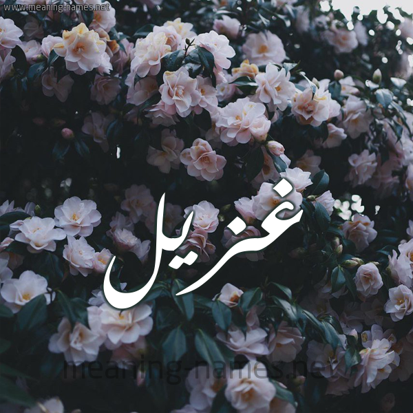 شكل 11 صوره ورود فل وياسمين للإسم بخط رقعة صورة اسم غُزَيِّل GHOZAIEL شكل 11 صوره ورود فل وياسمين للإسم بخط رقعة صورة اسم غُزَيِّل GHOZAIEL