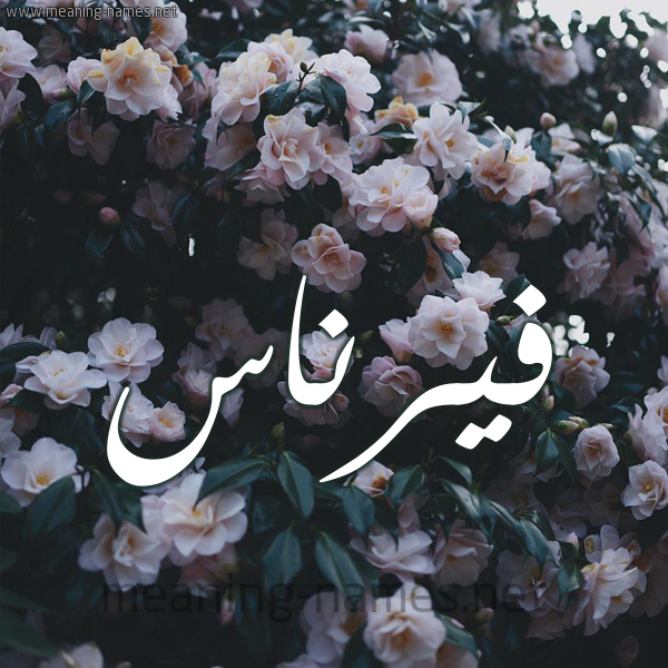 شكل 11 صوره ورود فل وياسمين للإسم بخط رقعة