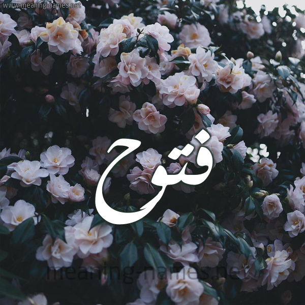 شكل 11 صوره ورود فل وياسمين للإسم بخط رقعة صورة اسم فَتُّوح FATOOH شكل 11 صوره ورود فل وياسمين للإسم بخط رقعة صورة اسم فَتُّوح FATOOH