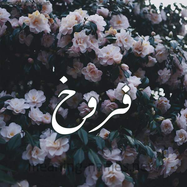 شكل 11 صوره ورود فل وياسمين للإسم بخط رقعة صورة اسم فَرُّوخ FAROOKH شكل 11 صوره ورود فل وياسمين للإسم بخط رقعة صورة اسم فَرُّوخ FAROOKH