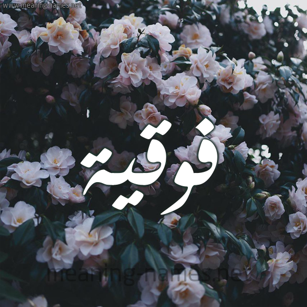 شكل 11 صوره ورود فل وياسمين للإسم بخط رقعة صورة اسم فَوقِيَّة FAOQEIAH شكل 11 صوره ورود فل وياسمين للإسم بخط رقعة صورة اسم فَوقِيَّة FAOQEIAH