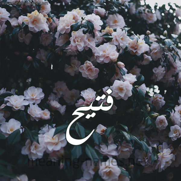 شكل 11 صوره ورود فل وياسمين للإسم بخط رقعة صورة اسم فُتَيِّح FOTAIEH شكل 11 صوره ورود فل وياسمين للإسم بخط رقعة صورة اسم فُتَيِّح FOTAIEH