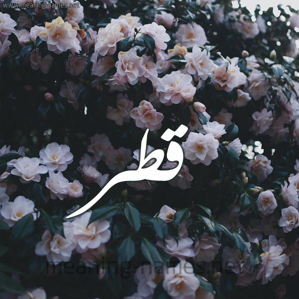 شكل 11 صوره ورود فل وياسمين للإسم بخط رقعة