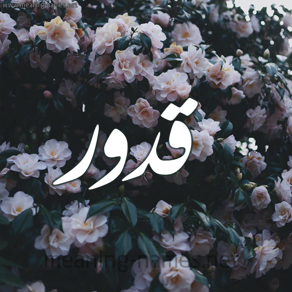 شكل 11 صوره ورود فل وياسمين للإسم بخط رقعة صورة اسم قَدُّور QADOOR شكل 11 صوره ورود فل وياسمين للإسم بخط رقعة صورة اسم قَدُّور QADOOR