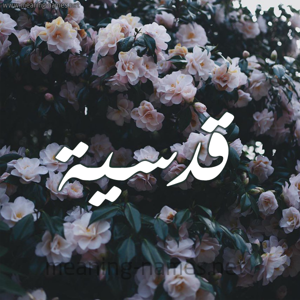 شكل 11 صوره ورود فل وياسمين للإسم بخط رقعة صورة اسم قُدْسِيَّة QODSEIAH شكل 11 صوره ورود فل وياسمين للإسم بخط رقعة صورة اسم قُدْسِيَّة QODSEIAH