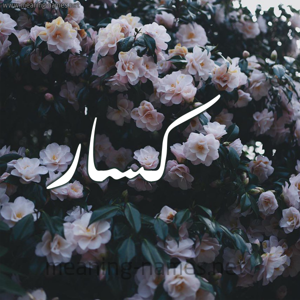 شكل 11 صوره ورود فل وياسمين للإسم بخط رقعة صورة اسم كسَّار KSAAR شكل 11 صوره ورود فل وياسمين للإسم بخط رقعة صورة اسم كسَّار KSAAR