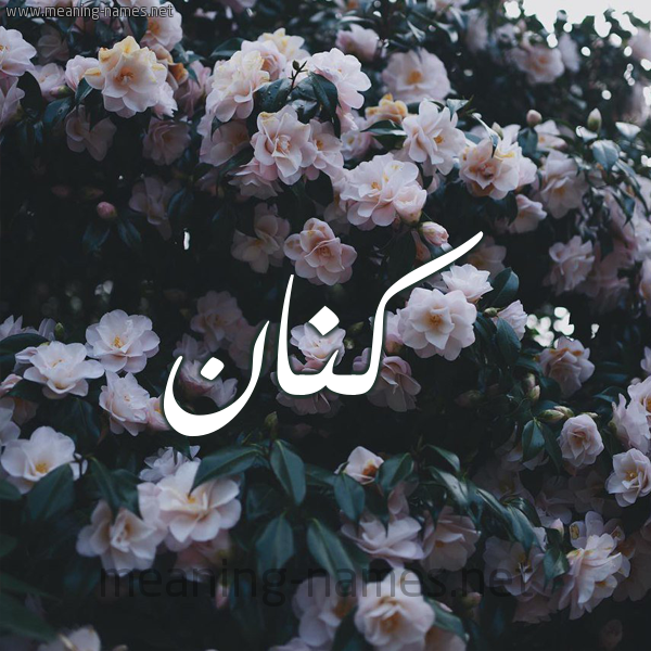 شكل 11 صوره ورود فل وياسمين للإسم بخط رقعة صورة اسم كَنَّان KANAAN شكل 11 صوره ورود فل وياسمين للإسم بخط رقعة صورة اسم كَنَّان KANAAN