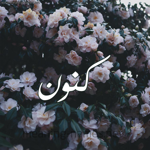 شكل 11 صوره ورود فل وياسمين للإسم بخط رقعة صورة اسم كَنُّون KANOON شكل 11 صوره ورود فل وياسمين للإسم بخط رقعة صورة اسم كَنُّون KANOON