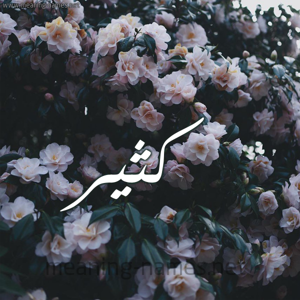 شكل 11 صوره ورود فل وياسمين للإسم بخط رقعة صورة اسم كُثَيِّر KOTHAIER شكل 11 صوره ورود فل وياسمين للإسم بخط رقعة صورة اسم كُثَيِّر KOTHAIER