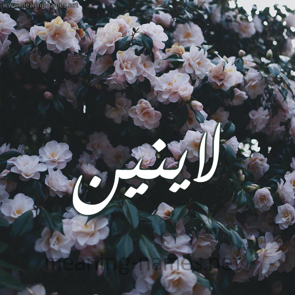 صورة اسم لاينين Lanin شكل 11 صوره ورود فل وياسمين للإسم بخط رقعة