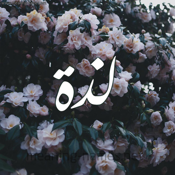 شكل 11 صوره ورود فل وياسمين للإسم بخط رقعة صورة اسم لَذَّة LAZAH شكل 11 صوره ورود فل وياسمين للإسم بخط رقعة صورة اسم لَذَّة LAZAH