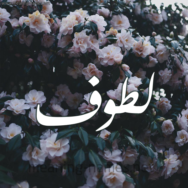 شكل 11 صوره ورود فل وياسمين للإسم بخط رقعة صورة اسم لَطُّوف LATOOF شكل 11 صوره ورود فل وياسمين للإسم بخط رقعة صورة اسم لَطُّوف LATOOF