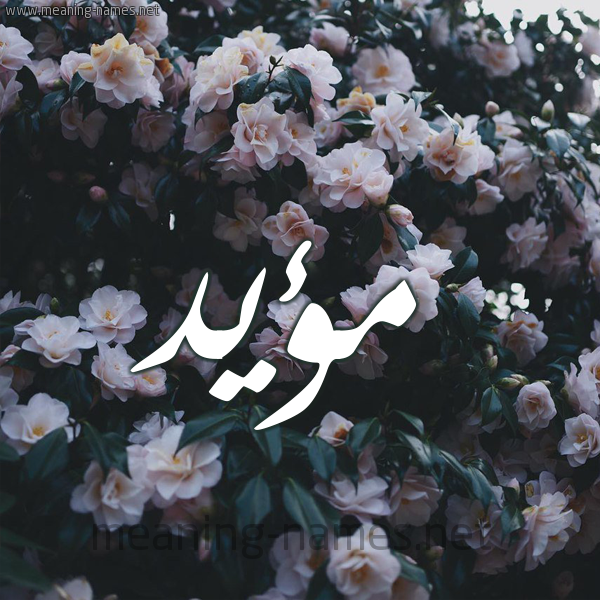 شكل 11 صوره ورود فل وياسمين للإسم بخط رقعة صورة اسم مؤيَّد MOIAD شكل 11 صوره ورود فل وياسمين للإسم بخط رقعة صورة اسم مؤيَّد MOIAD