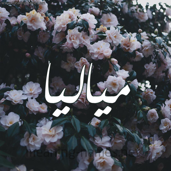 صورة اسم مياليا Malia شكل 11 صوره ورود فل وياسمين للإسم بخط رقعة