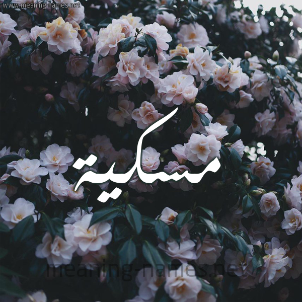 شكل 11 صوره ورود فل وياسمين للإسم بخط رقعة صورة اسم مٍسْكِيَّة MENSKEIAH شكل 11 صوره ورود فل وياسمين للإسم بخط رقعة صورة اسم مٍسْكِيَّة MENSKEIAH