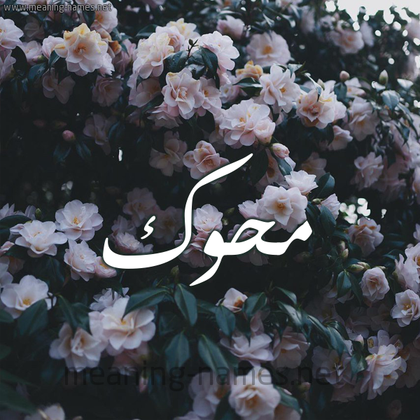 شكل 11 صوره ورود فل وياسمين للإسم بخط رقعة صورة اسم مَحُّوك MAHOOK شكل 11 صوره ورود فل وياسمين للإسم بخط رقعة صورة اسم مَحُّوك MAHOOK