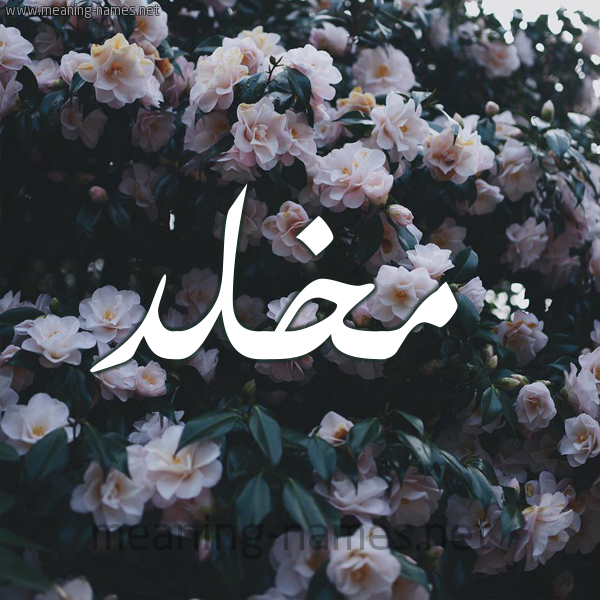 شكل 11 صوره ورود فل وياسمين للإسم بخط رقعة صورة اسم مَخْلَّّد MAKHLAD شكل 11 صوره ورود فل وياسمين للإسم بخط رقعة صورة اسم مَخْلَّّد MAKHLAD