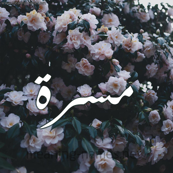 شكل 11 صوره ورود فل وياسمين للإسم بخط رقعة صورة اسم مَسَرَّة MASARAH شكل 11 صوره ورود فل وياسمين للإسم بخط رقعة صورة اسم مَسَرَّة MASARAH
