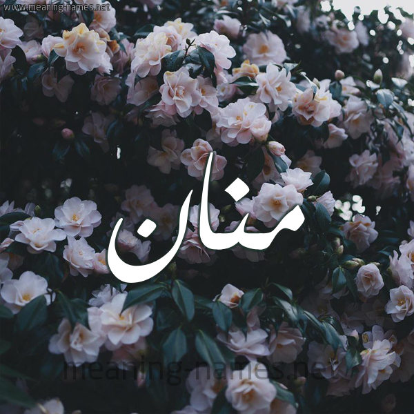 شكل 11 صوره ورود فل وياسمين للإسم بخط رقعة صورة اسم مَنَّان MANAAN شكل 11 صوره ورود فل وياسمين للإسم بخط رقعة صورة اسم مَنَّان MANAAN