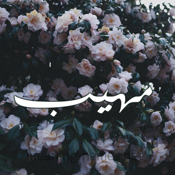شكل 11 صوره ورود فل وياسمين للإسم بخط رقعة صورة اسم مَهِيب MAHEIB
