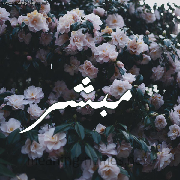 شكل 11 صوره ورود فل وياسمين للإسم بخط رقعة صورة اسم مُبَشِّر MOBASHER شكل 11 صوره ورود فل وياسمين للإسم بخط رقعة صورة اسم مُبَشِّر MOBASHER