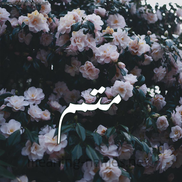 شكل 11 صوره ورود فل وياسمين للإسم بخط رقعة صورة اسم مُتَمِّم MOTAMEM شكل 11 صوره ورود فل وياسمين للإسم بخط رقعة صورة اسم مُتَمِّم MOTAMEM