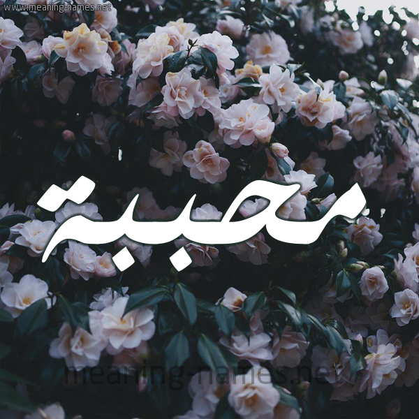 شكل 11 صوره ورود فل وياسمين للإسم بخط رقعة صورة اسم مُحَبَّبة MOHABABH شكل 11 صوره ورود فل وياسمين للإسم بخط رقعة صورة اسم مُحَبَّبة MOHABABH