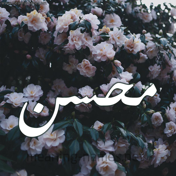 شكل 11 صوره ورود فل وياسمين للإسم بخط رقعة صورة اسم مُحَسِّن MOHASEN شكل 11 صوره ورود فل وياسمين للإسم بخط رقعة صورة اسم مُحَسِّن MOHASEN