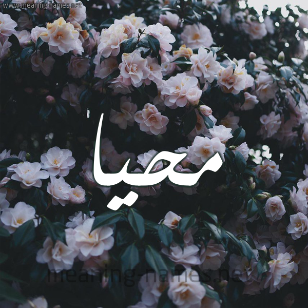 شكل 11 صوره ورود فل وياسمين للإسم بخط رقعة صورة اسم مُحَيَّا MOHAIAA شكل 11 صوره ورود فل وياسمين للإسم بخط رقعة صورة اسم مُحَيَّا MOHAIAA