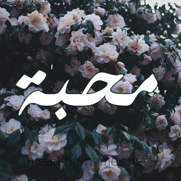 شكل 11 صوره ورود فل وياسمين للإسم بخط رقعة صورة اسم مُحِبَّة MOHEBAH شكل 11 صوره ورود فل وياسمين للإسم بخط رقعة صورة اسم مُحِبَّة MOHEBAH