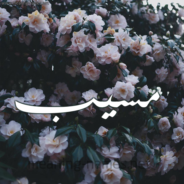 شكل 11 صوره ورود فل وياسمين للإسم بخط رقعة صورة اسم مُسَيَّب MOSAIAB شكل 11 صوره ورود فل وياسمين للإسم بخط رقعة صورة اسم مُسَيَّب MOSAIAB