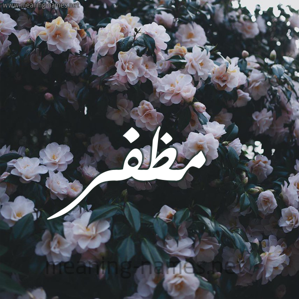 شكل 11 صوره ورود فل وياسمين للإسم بخط رقعة صورة اسم مُظَفَّر MOZAFAR شكل 11 صوره ورود فل وياسمين للإسم بخط رقعة صورة اسم مُظَفَّر MOZAFAR