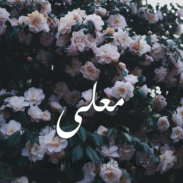 صورة اسم مُعَلَّى MOAALAA شكل 11 صوره ورود فل وياسمين للإسم بخط رقعة صورة اسم مُعَلَّى MOAALAA شكل 11 صوره ورود فل وياسمين للإسم بخط رقعة