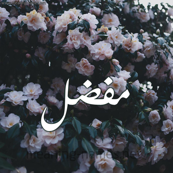 شكل 11 صوره ورود فل وياسمين للإسم بخط رقعة صورة اسم مُفَضَّل MOFADAL شكل 11 صوره ورود فل وياسمين للإسم بخط رقعة صورة اسم مُفَضَّل MOFADAL